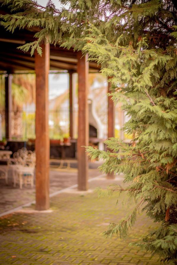 Bed & Breakfast Kalinka Bed and Breakfast Motta SantʼAnastasia Exterior foto