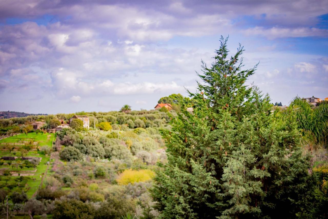 Bed & Breakfast Kalinka Bed and Breakfast Motta SantʼAnastasia Exterior foto